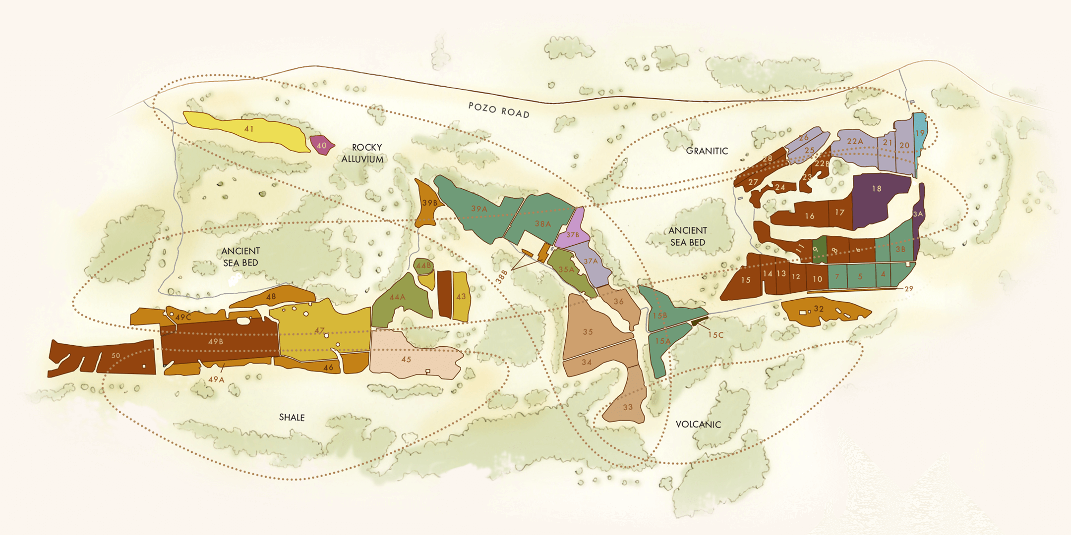 Margarita Vineyad Map