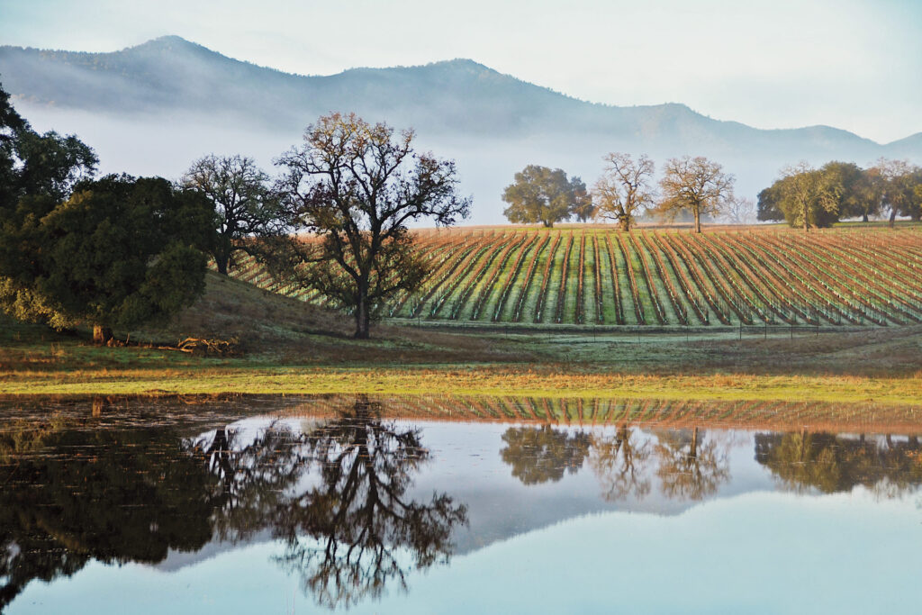 santa margarita ranch: an appellation you need to know